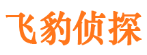 大渡口市私家侦探